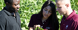 SIU Agricultural Sciences Giving Priorities